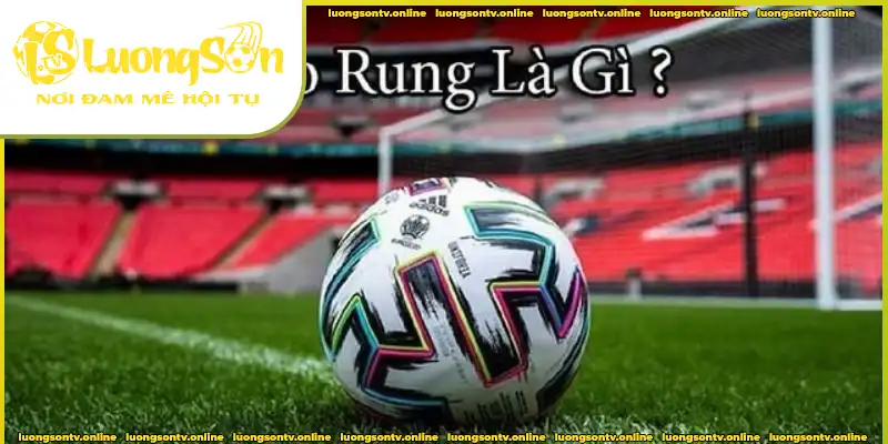 Định nghĩa chi tiết về kèo rung Định nghĩa chi tiết về kèo rung